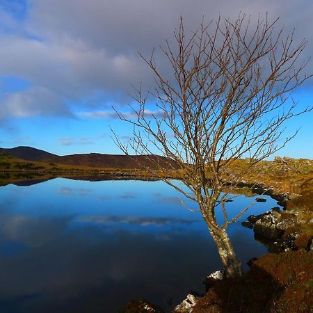 Keanes Of Curraheen, Bar, Restaurant & Accommodation Трали Экстерьер фото