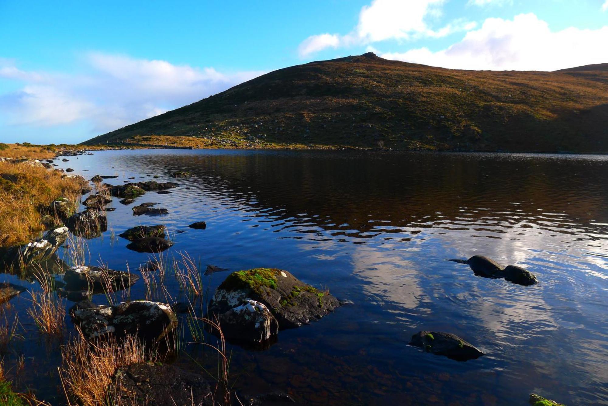 Keanes Of Curraheen, Bar, Restaurant & Accommodation Трали Экстерьер фото